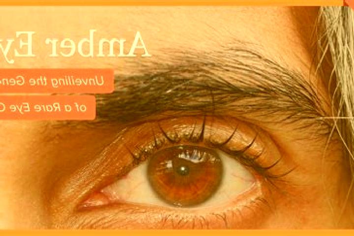 Evelyn, 27, a red amber-eyed slavic companion based in Glen Waverley. Offering CIM, Travel Companion, OWO. Available for incall and outcall, day and evening ...