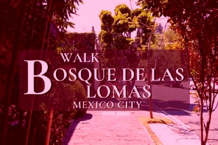 Evelyn, 28 — Escort in Barrio Cuarto (La Loma), Mexico