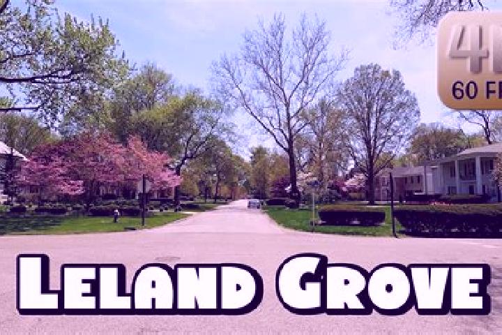 Evelyn, 28 — Escort in Leland Grove, United States