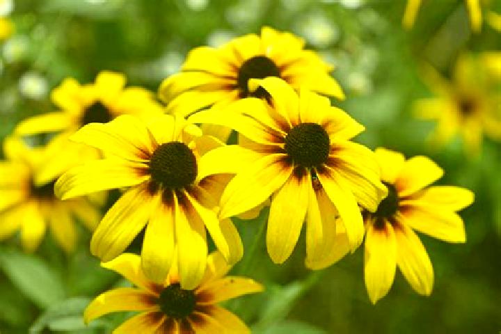 Evelyn, 30, a black dark-eyed mediterranean companion based in Guadalupe de Paso Blanco. Offering Massage, CIM, Tantra, Fetish, Striptease. Available for inc...