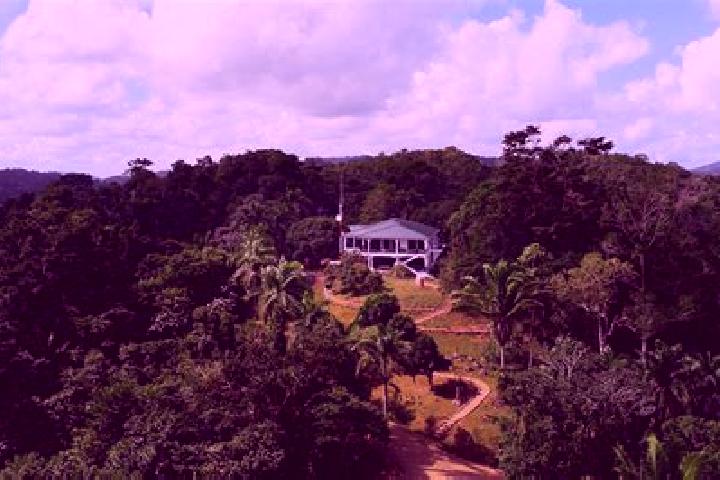 Evelyn, 30 — Escort in Silk Grass, Belize