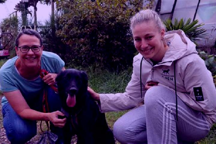 Evelyn, 31 — Escort in Testorf-Steinfort, Germany