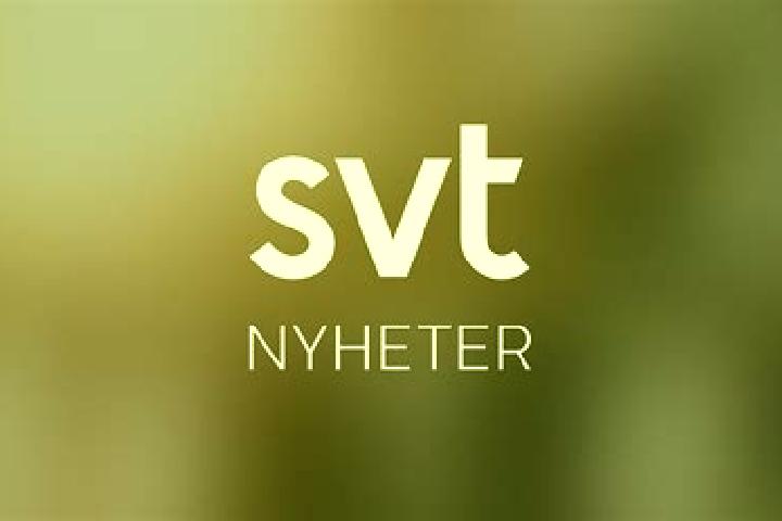 Evelyn, 33 — Escort in Billingsfors, Sweden