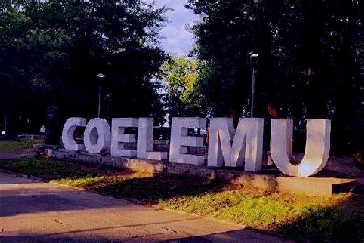 Evelyn, 33 — Escort in Coelemu, Chile