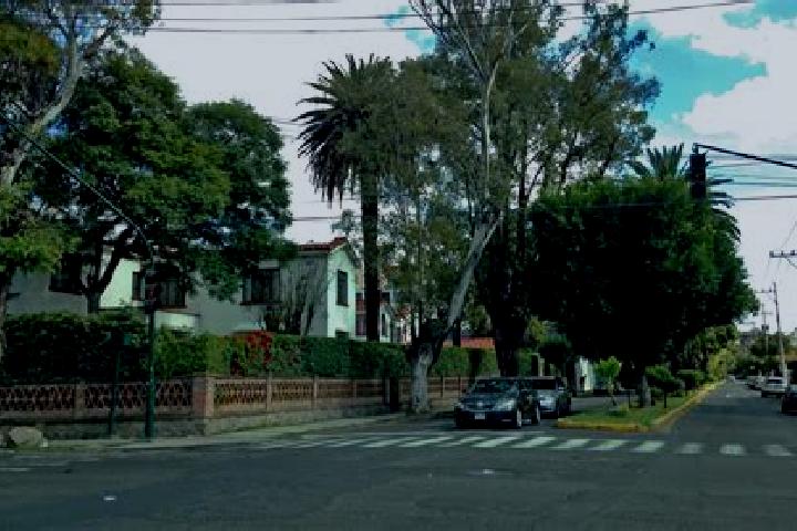 Evelyn, 33 — Escort in Colonia Anahuac, Mexico