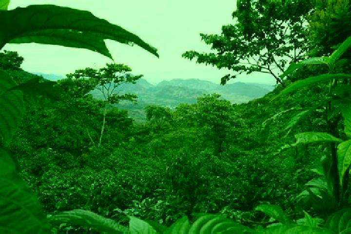 Evelyn, 33 — Escort in Huehuetenango, Guatemala