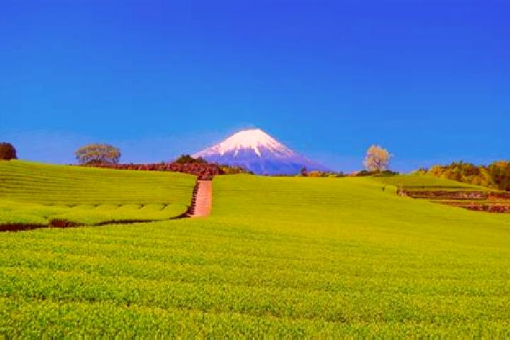 Evelyn, 33 — Escort in Obuchi, Japan