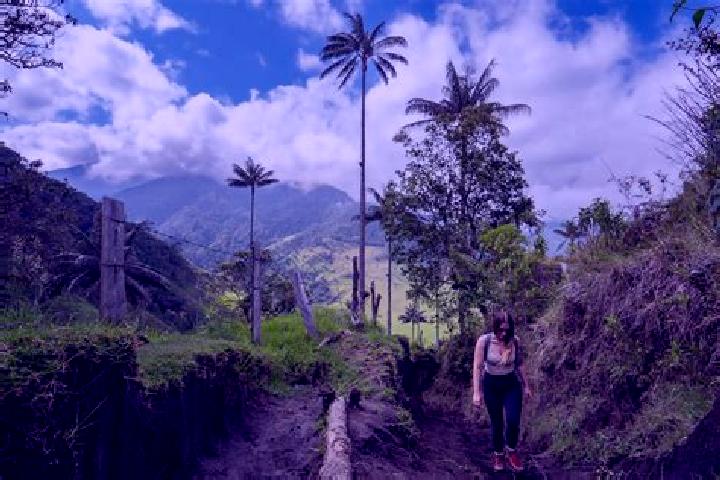 Evelyn, 34 — Escort in Cocora, Romania