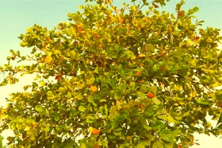 Evelyn, 34 — Escort in El Almendro, Nicaragua