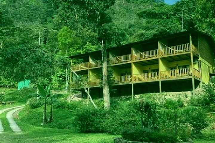 Evelyn, 34 — Escort in La Guama, Honduras