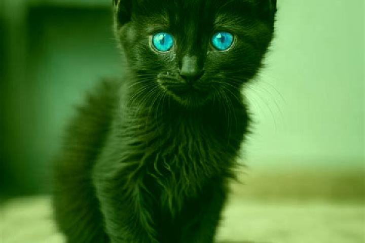 Evelyn, 35, a black blue-eyed mediterranean companion based in Bundenthal. Offering OWO, Duos, Domination, Travel Companion, Massage. Available for incall an...