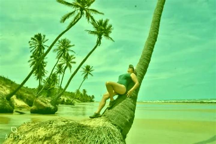 Evelyn, 35 — Escort in Caetanos, Brazil