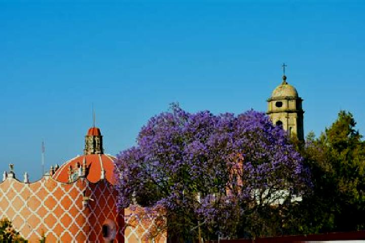 Evelyn, 35 — Escort in Tlahuac, Mexico