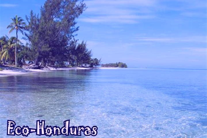 Evelyn, 35 — Escort in Urrutia, Honduras