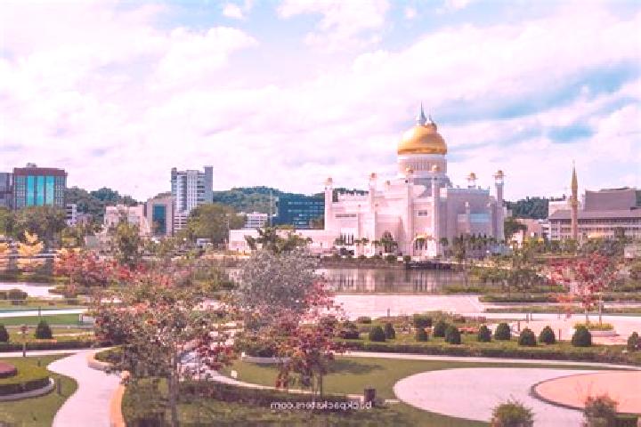 Evelyn, 36, a auburn amber-eyed middle eastern companion based in Bandar Seri Begawan. Offering Travel Companion, Couples, Roleplay. Available for incall and...