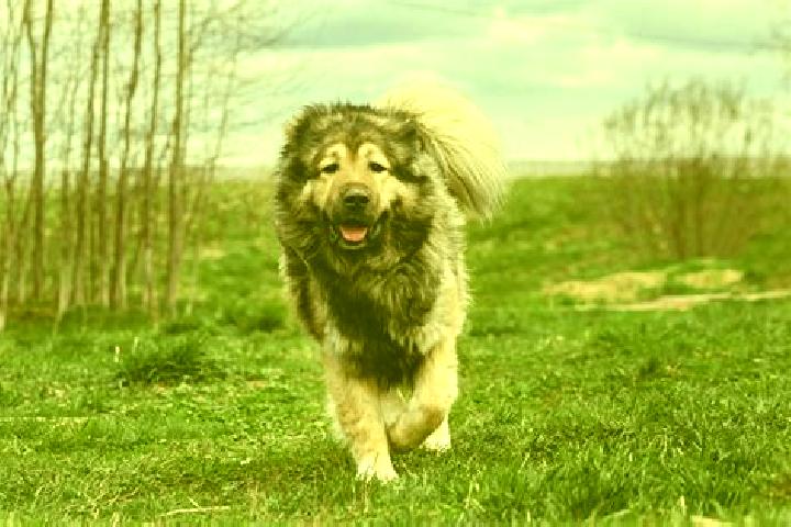 Evelyn, 36, a black grey-eyed caucasian companion based in Pa Bon. Offering A-Level, Striptease, Travel Companion. Available for incall and outcall, day and ...
