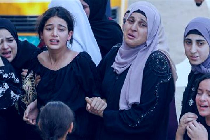Evelyn, 36 — Escort in Kafr Dan, Palestine