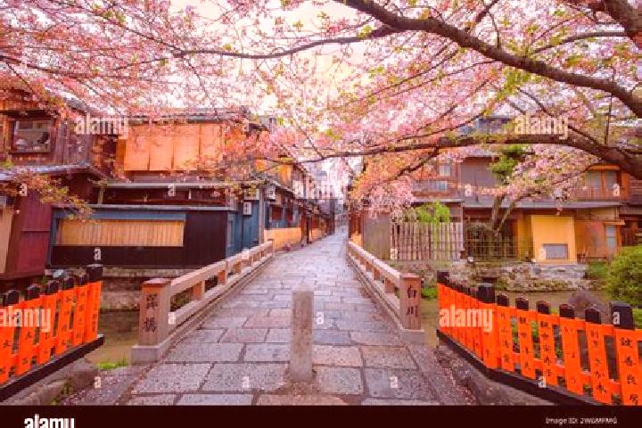 Evelyn, 37 — Escort in Shinbashi, Japan