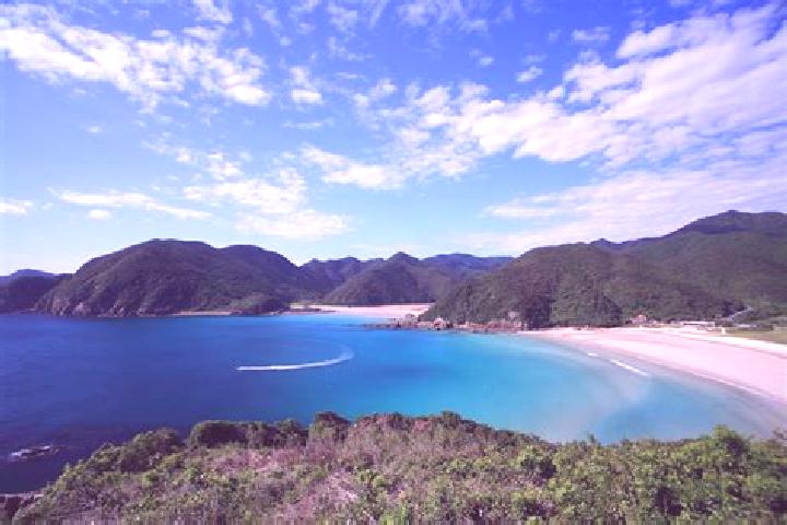 Evelyn, 37 — Escort in Takahama, Japan