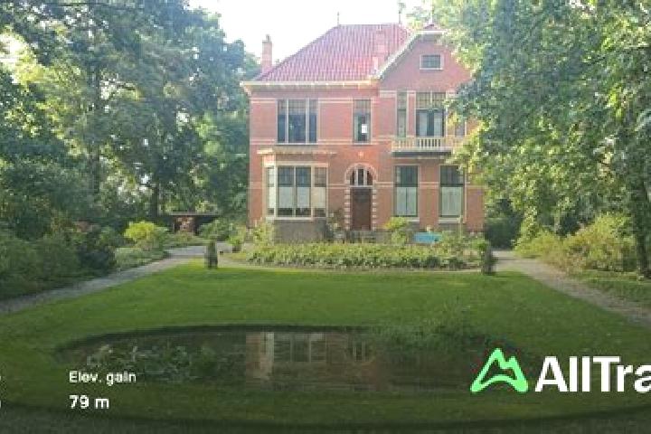 Evelyn, 38 — Escort in Bellingwolde, Netherlands