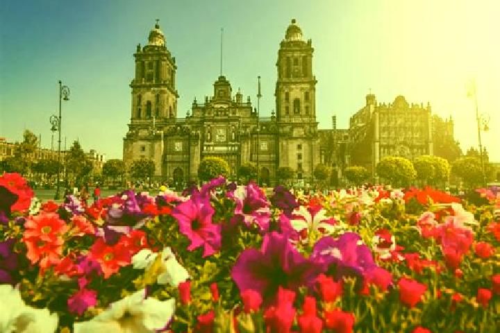 Evelyn, 38 — Escort in Ciudad Guerrero, Mexico