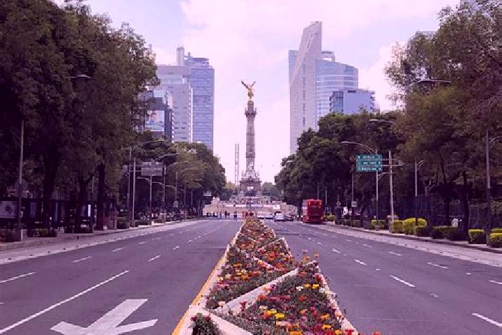 Evelyn, 38 — Escort in La Reforma, Mexico