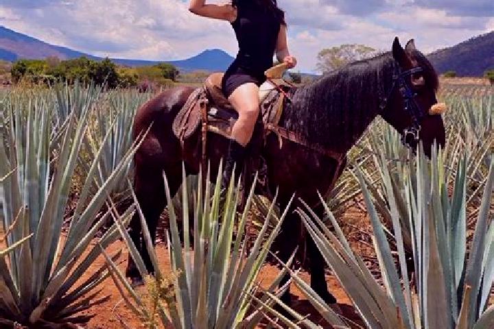 Evelyn, 38 — Escort in San Julian, Mexico