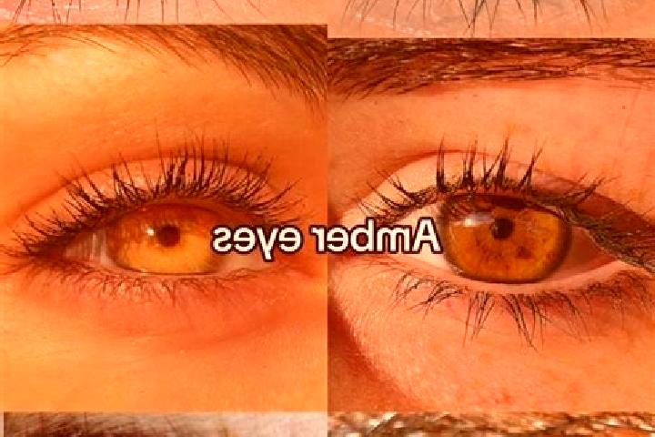 Evelyn, 39, a chestnut amber-eyed european companion based in Gerempay. Offering GFE, Tantra, Domination, Duos. Available for incall and outcall, day and eve...
