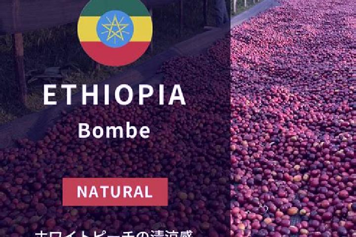 Evelyn, 39 — Escort in Bombe, Ethiopia