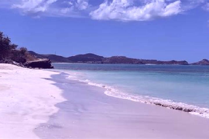 Evelyn, 39 — Escort in Falmouth, Antigua and Barbuda