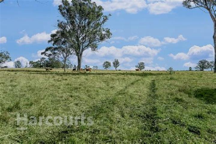 Evelyn, 39 — Escort in Pheasants Nest, Australia