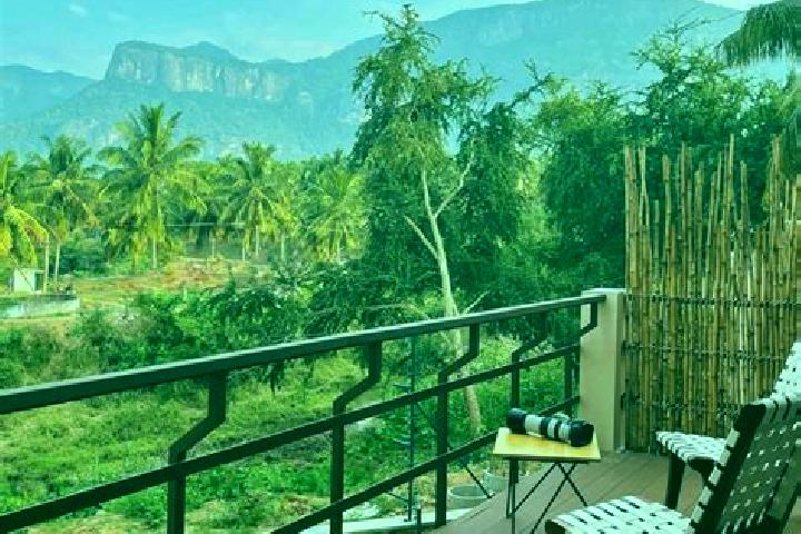 Grace, 20 — Escort in Anaimalai, India