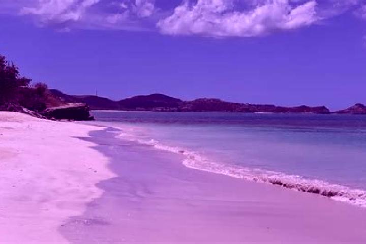 Grace, 21 — Escort in Codrington, Antigua and Barbuda