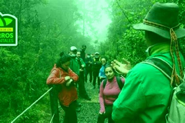 Grace, 22 — Escort in Alto de la Cruz, Peru