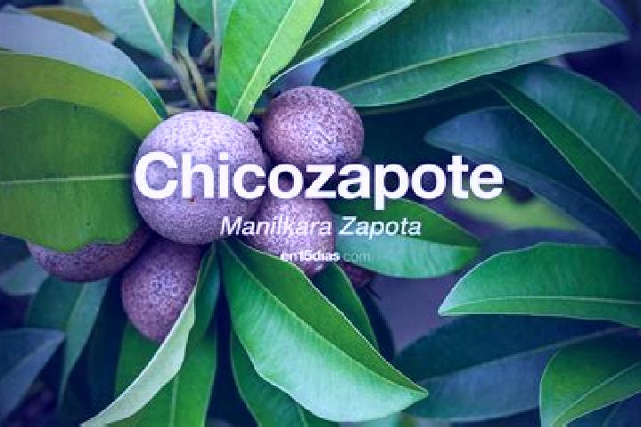 Grace, 22 — Escort in Chicozapote, Mexico