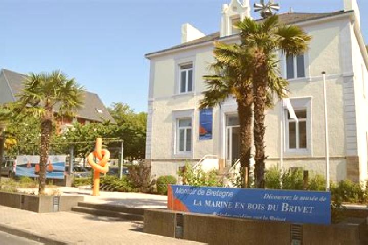 Grace, 22 — Escort in Montoir-de-Bretagne, France