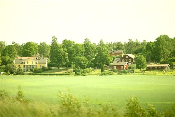 Grace, 23 — Escort in Odensbacken, Sweden
