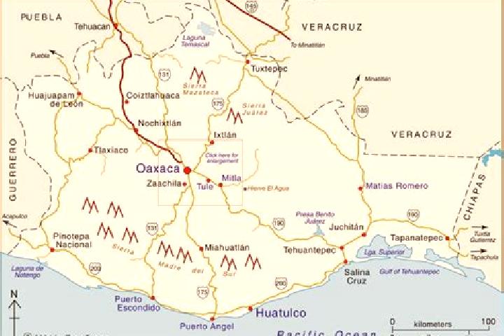 Grace, 23 — Escort in San Miguel Aloapam, Mexico