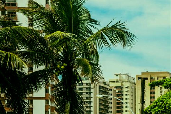 Grace, 23 — Escort in Vista Alegre do Prata, Brazil