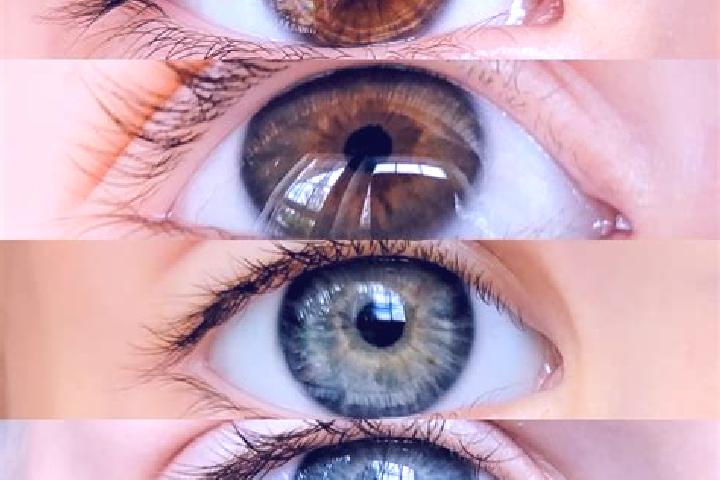 Grace, 25, a chestnut brown-eyed mixed companion based in Cafarnaum. Offering Domination, A-Level, Tantra, Roleplay. Available for incall and outcall, overni...
