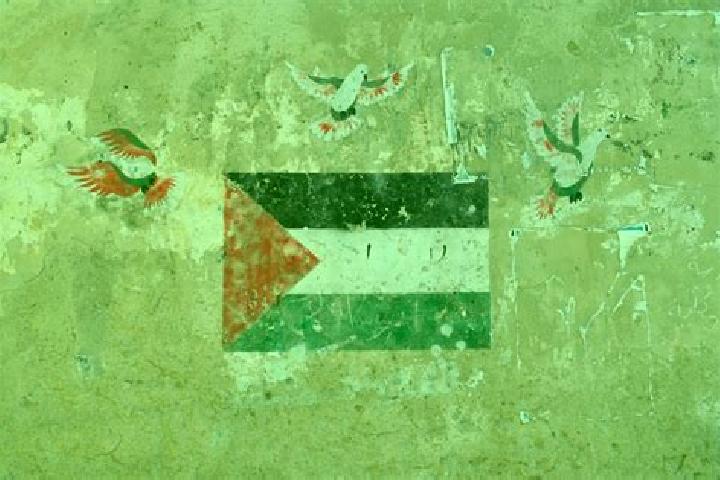 Grace, 25 — Escort in Ash Shuhada , Palestine