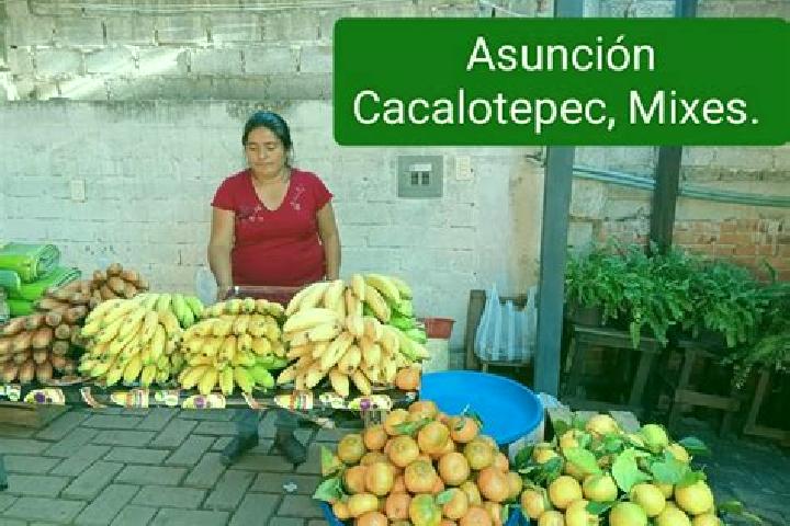 Grace, 26 — Escort in Asuncion Cacalotepec, Mexico
