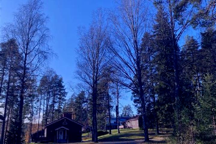 Grace, 26 — Escort in Sulkava, Finland