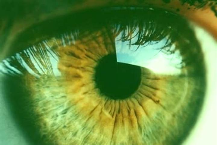 Grace, 27, a dark blonde hazel-eyed caucasian companion based in Ferri. Offering Couples, Domination, Tantra, Girlfriend Experience. Available for incall and...