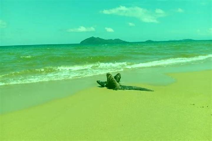 Grace, 28, a black dark-eyed caribbean companion based in Wongaling Beach. Offering Erotic Massage, Duos, Overnight. Available for incall and outcall, overni...