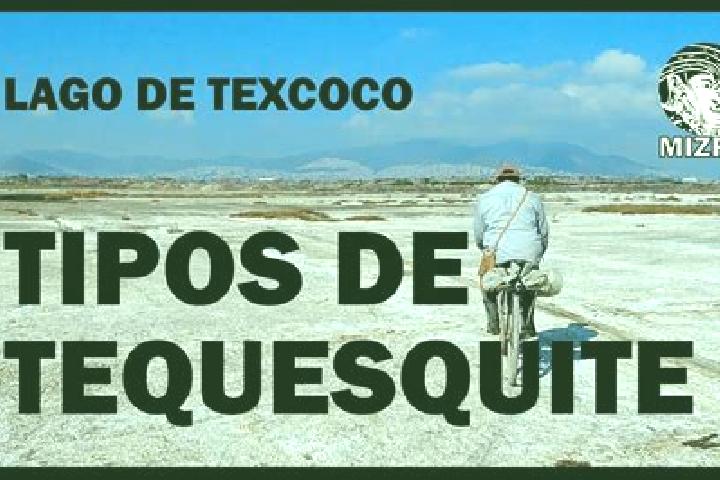 Grace, 28 — Escort in El Tequesquite, Mexico
