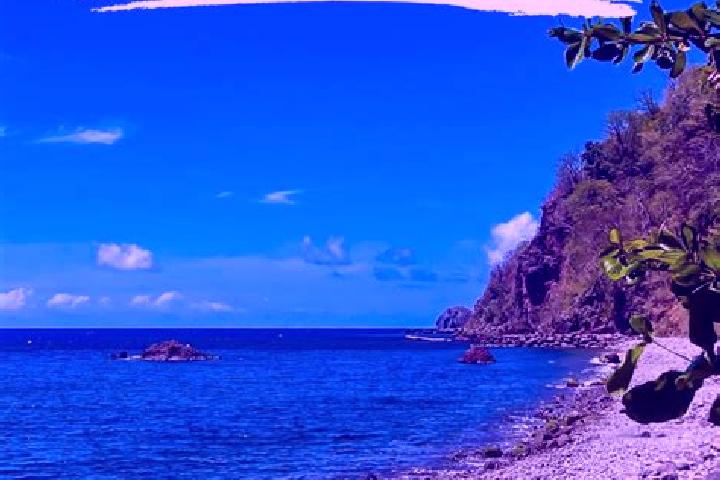 Grace, 28 — Escort in Pointe Michel, Dominica