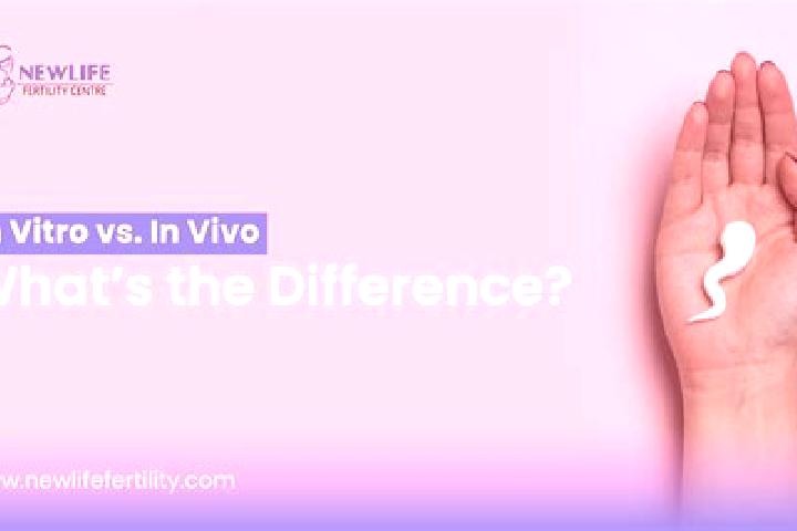 Grace, 28 — Escort in Prvacina, Slovenia