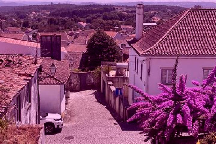 Grace, 29 — Escort in Figueiro dos Vinhos, Portugal