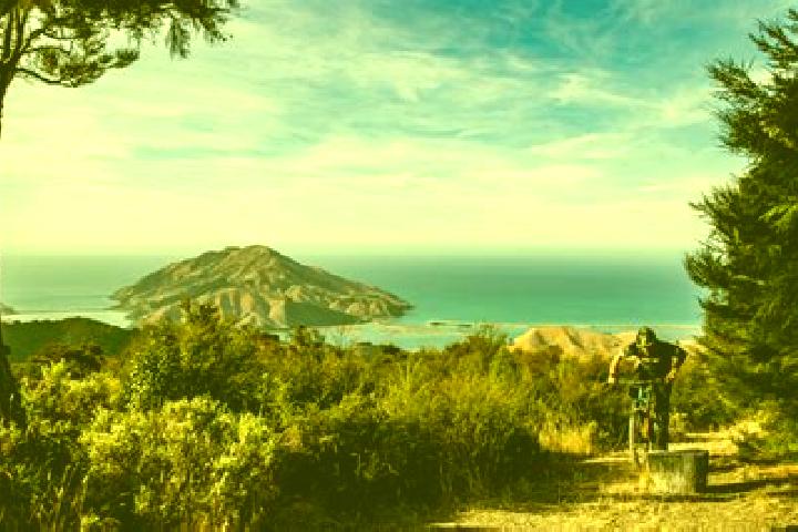 Grace, 30 — Escort in Cable Bay, New Zealand
